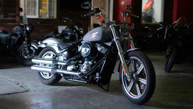 2024 HARLEY Fxst - Softail Standard