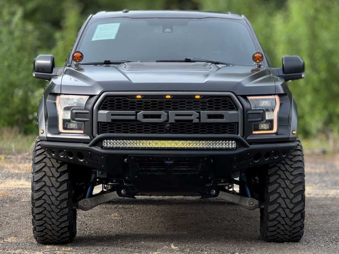 2017 Ford F-150 Raptor - Image 2