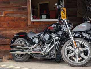 2023 HARLEY-DAVIDSON Fxst Softail Standard