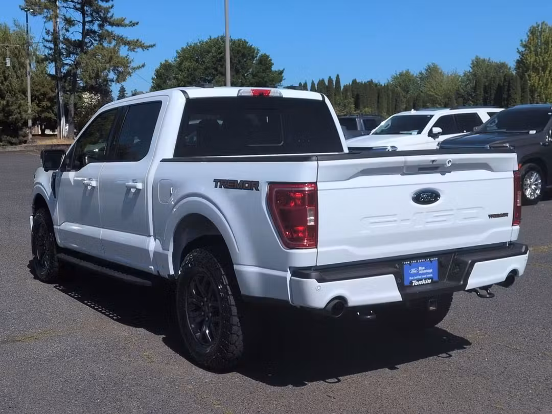 2022 Ford F-150 Tremor - Image 3
