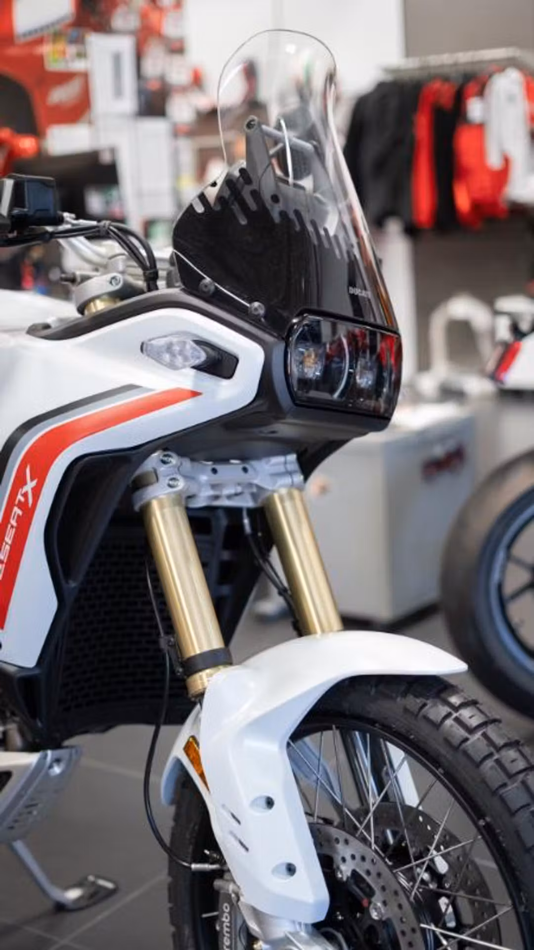 2026 Ducati Desertx V2 - Image 2