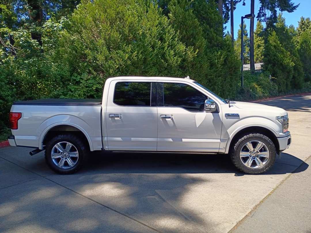 2018 Ford F-150 Platinum - Image 3