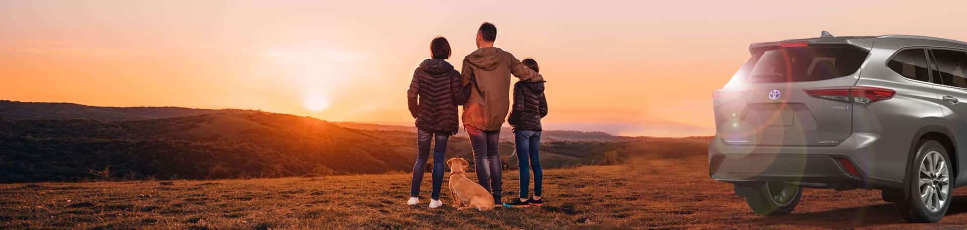 TonkinCare hero background